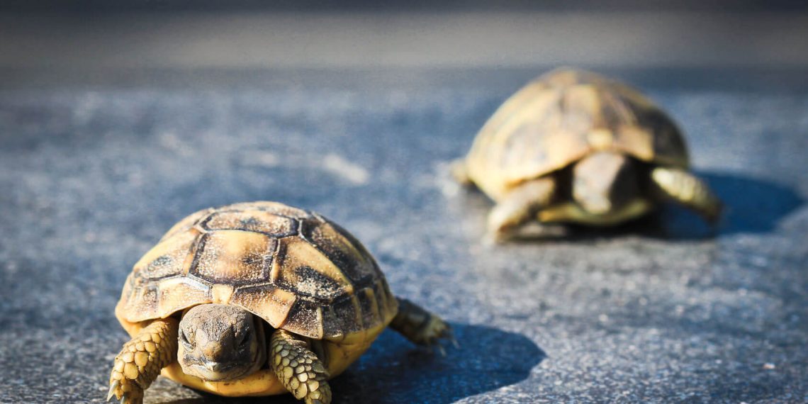 Wie funktioniert „Sozialtourismus“ eigentlich?