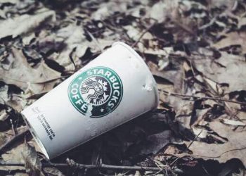 Wohin verschwinden die Millionen von Starbucks?