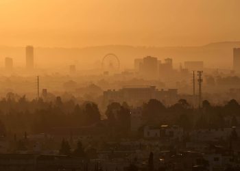 Bill Gates: Der freie Markt wird unseren Planeten nicht retten