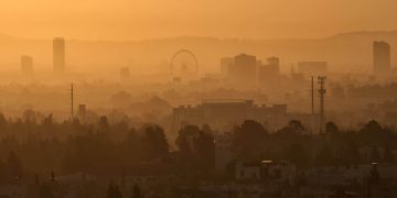 Bill Gates: Der freie Markt wird unseren Planeten nicht retten