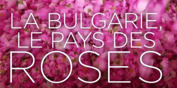 Im Tal der Rosen: Bulgariens blühender Schatz