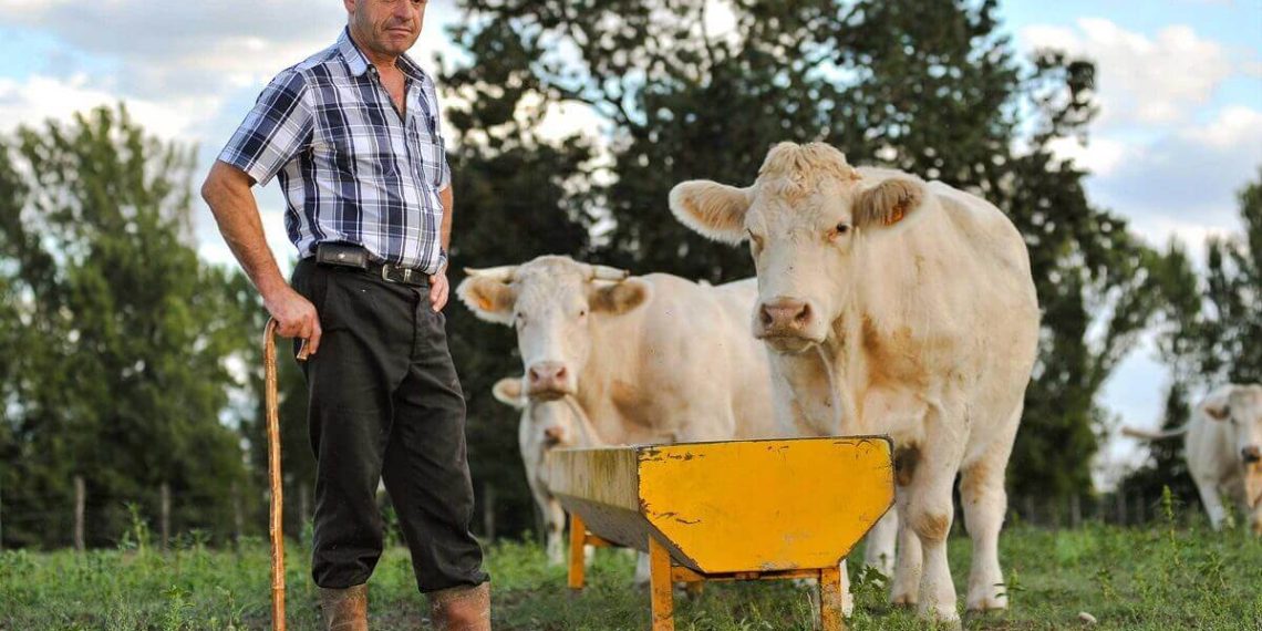 Wie Agrar-Institutionen und Großgrundbesitzer die landwirtschaftlichen Förderungen abkassieren