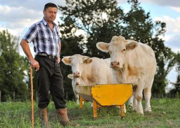Wie Agrar-Institutionen und Großgrundbesitzer die landwirtschaftlichen Förderungen abkassieren