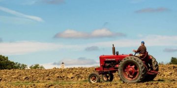 US-Urteil: Glyphosat für Krebs mitverantwortlich – dennoch kein EU-Verbot