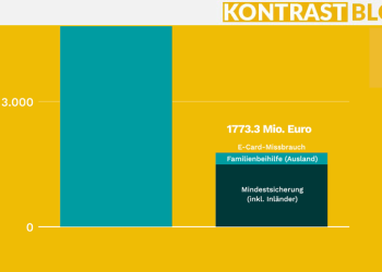 Nachgerechnet: Wo Kurz 14 Mrd. Euro sparen will