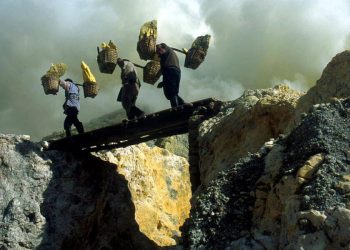 Workingman’s Death