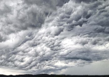 Harvey, Irma, Donald