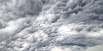 Harvey, Irma, Donald