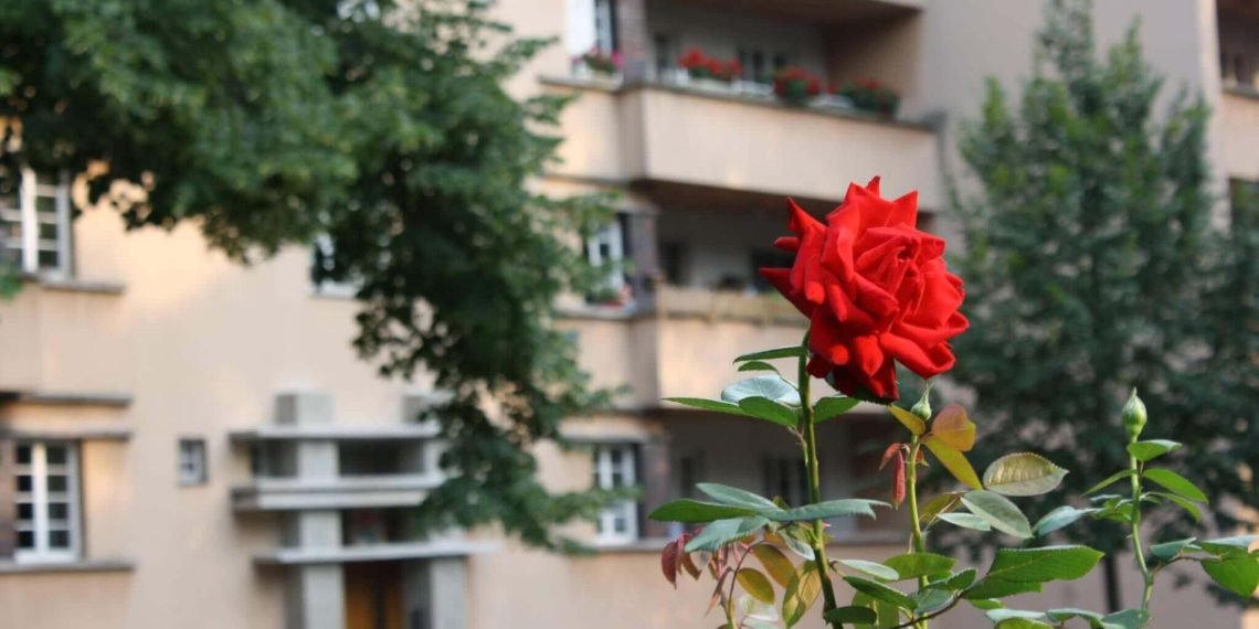 Wohnen: Eine Frage der Leistbarkeit