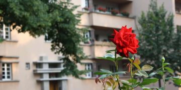 Wohnen: Eine Frage der Leistbarkeit