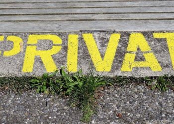 Schwarz-Blaue Privatisierungen: Verlust für den Staat, Profit für einige Private und Mittelsmänner
