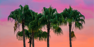 Nike, Lewis Hamilton und andere kosten uns 1.000 Milliarden Euro – jährlich!