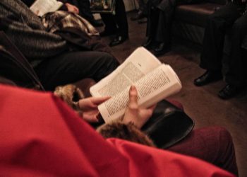 Österreichs Bodenschatz