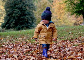 Oberösterreich: Kindergartengebühren fressen den Familienbonus auf