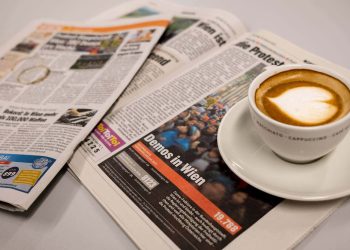 54 Aufmärsche pro Tag im Jahre 2017 in Wien? Wo waren die? Wem dienen diese Horrormeldungen?