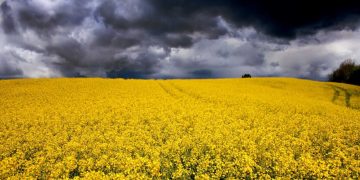 Schwarz-Blau: Mehr Geld für Großgrundbesitzer, weniger für Job-Programme