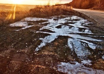 Hunderte Millionen Euro weniger für Österreich: Weniger Steuerprüfer, mehr Steuersümpfe