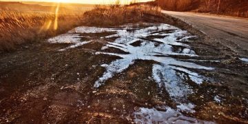 Hunderte Millionen Euro weniger für Österreich: Weniger Steuerprüfer, mehr Steuersümpfe