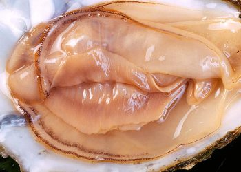 „Masturbiert ihr echt nicht? Oder redet ihr nur nicht drüber?“