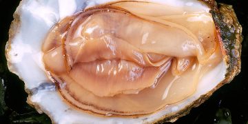 „Masturbiert ihr echt nicht? Oder redet ihr nur nicht drüber?“