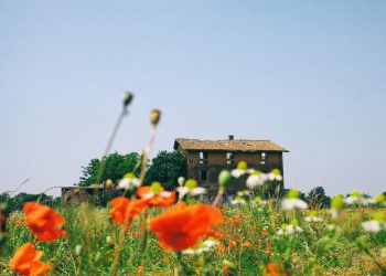 Glück ist Geschäft