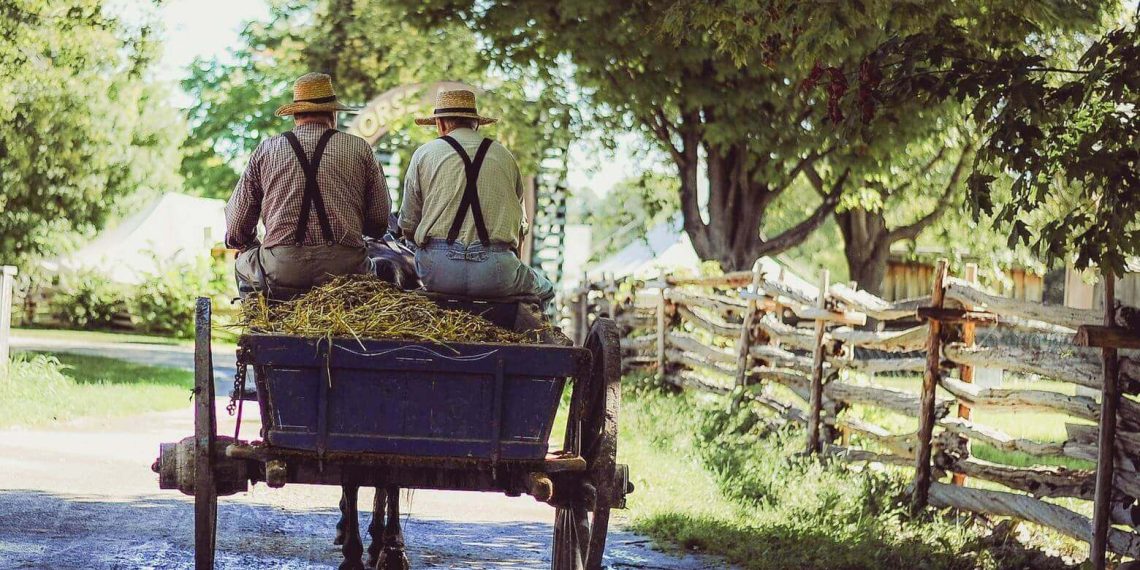 EU-Agrarsubventionen: Millionen für Agrar-Konzerne und Kleinbauernsterben geht weiter