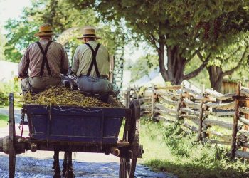 EU-Agrarsubventionen: Millionen für Agrar-Konzerne und Kleinbauernsterben geht weiter