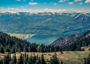 Österreichische Staatsbürgerschaft gibt es auch im Eilverfahren