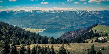Österreichische Staatsbürgerschaft gibt es auch im Eilverfahren