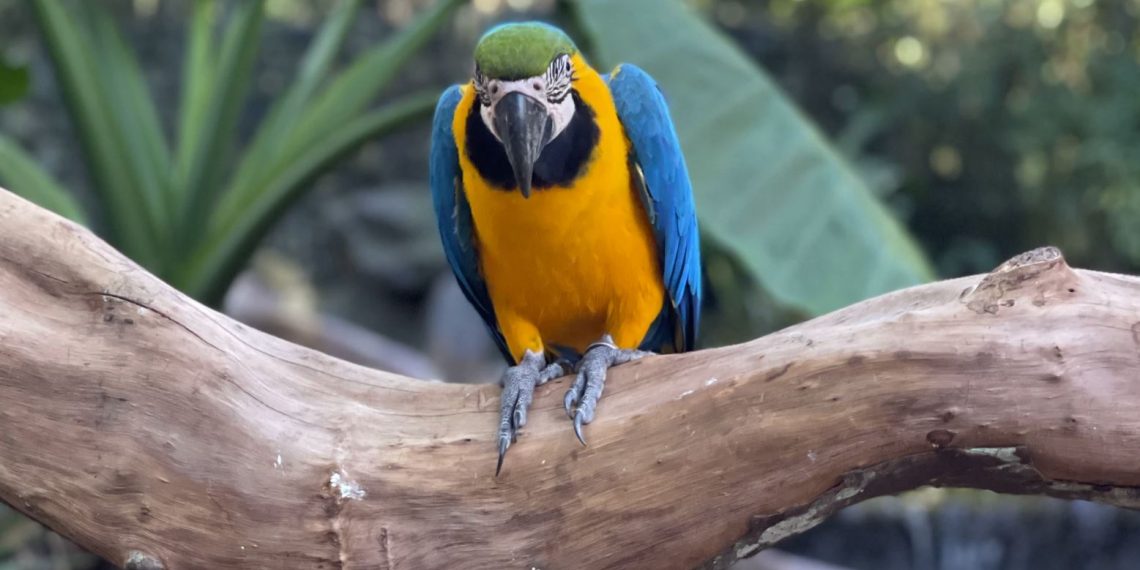 Wenn Konzerne sich vor Steuern drücken können, schadet das auch unserer Umwelt