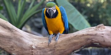 Wenn Konzerne sich vor Steuern drücken können, schadet das auch unserer Umwelt