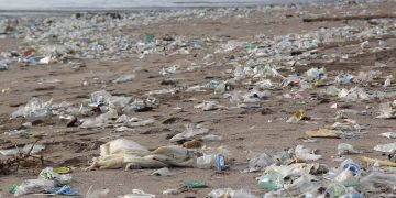 Problem Plastikmüll und Mikroplastik: So landet er im Meer und in der Nahrung von Mensch und Tier