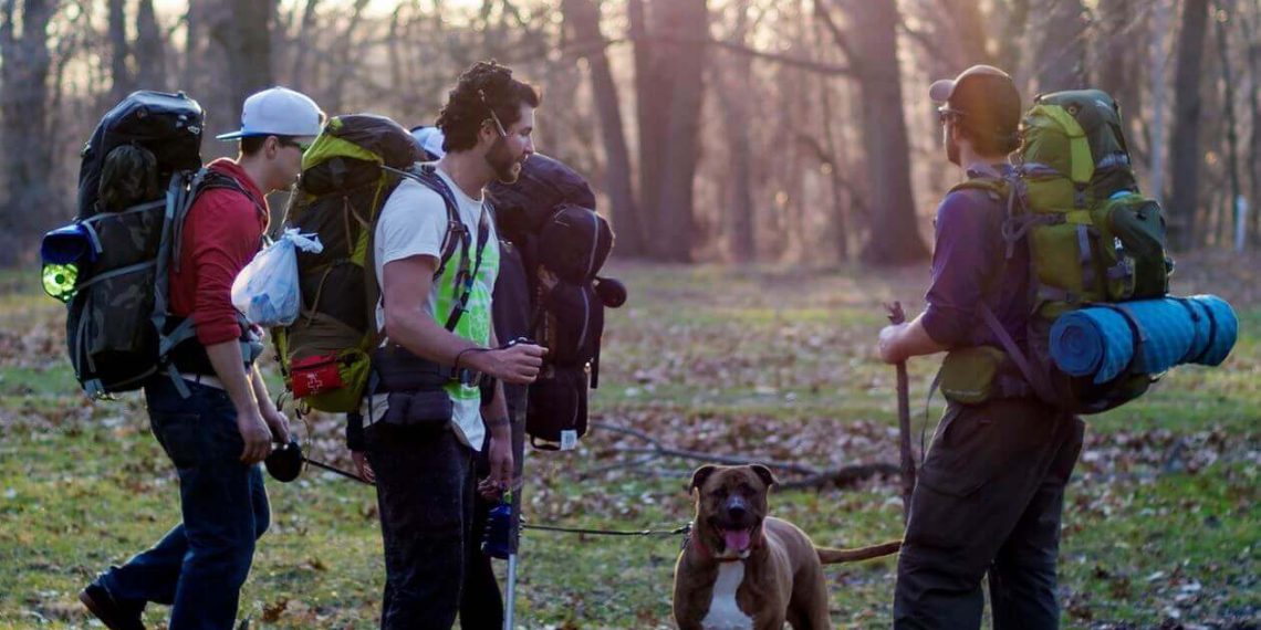 Die Regierung drängt Umweltschutz-NGOs aus Prüfverfahren – und agiert rechtswidrig