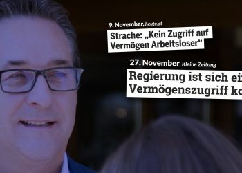 Strache Mindestsicherung Vermögenszugriff Notstandshilfe