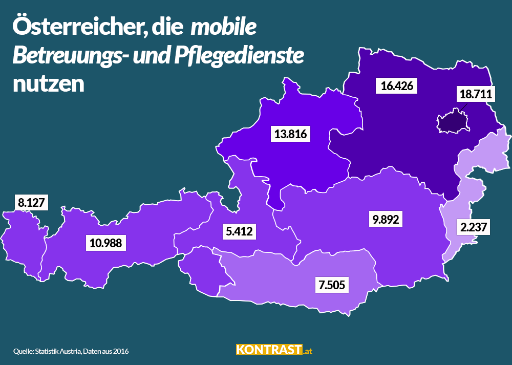 Pflege Österreich Statistik