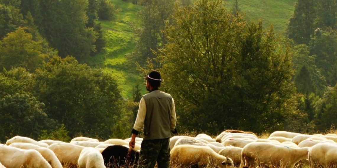 Bergbauern aus Ministerium gedrängt: „Der ÖVP war unsere Arbeit immer ein Dorn im Auge.“