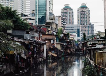 Sie sehen den ganzen Tag Dinge, die niemand sehen will – damit wir sie nicht sehen müssen