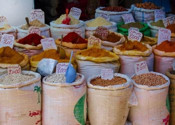 Tunesien: Politische Veränderung – wirtschaftliche Krise