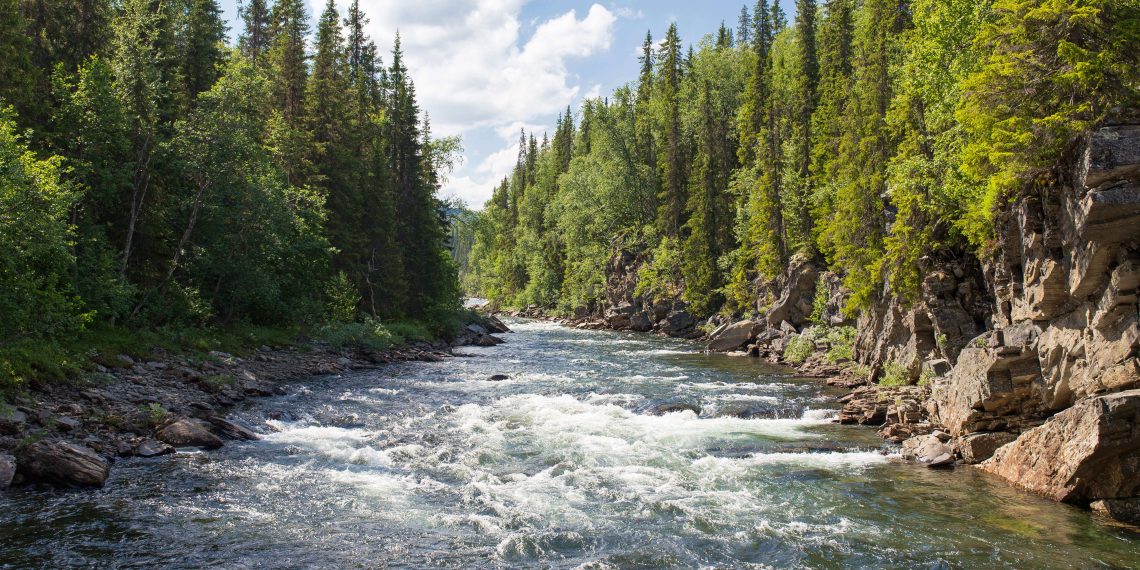 Fluss - Photo by Jon Flobrant on Unsplash