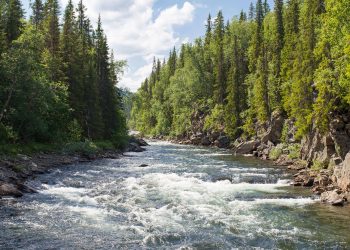 Fluss - Photo by Jon Flobrant on Unsplash