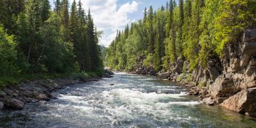 Fluss - Photo by Jon Flobrant on Unsplash