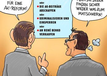 Die Reformpläne der Regierung für die AK