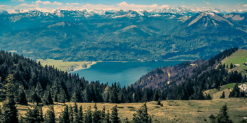 Mit einem Green New Deal könnten wir die Klimakrise wirklich aufhalten