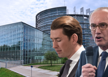 So stimmt die ÖVP in der EU: Gegen höhere Löhne, aber für Steuerbetrüger und Glyphosat