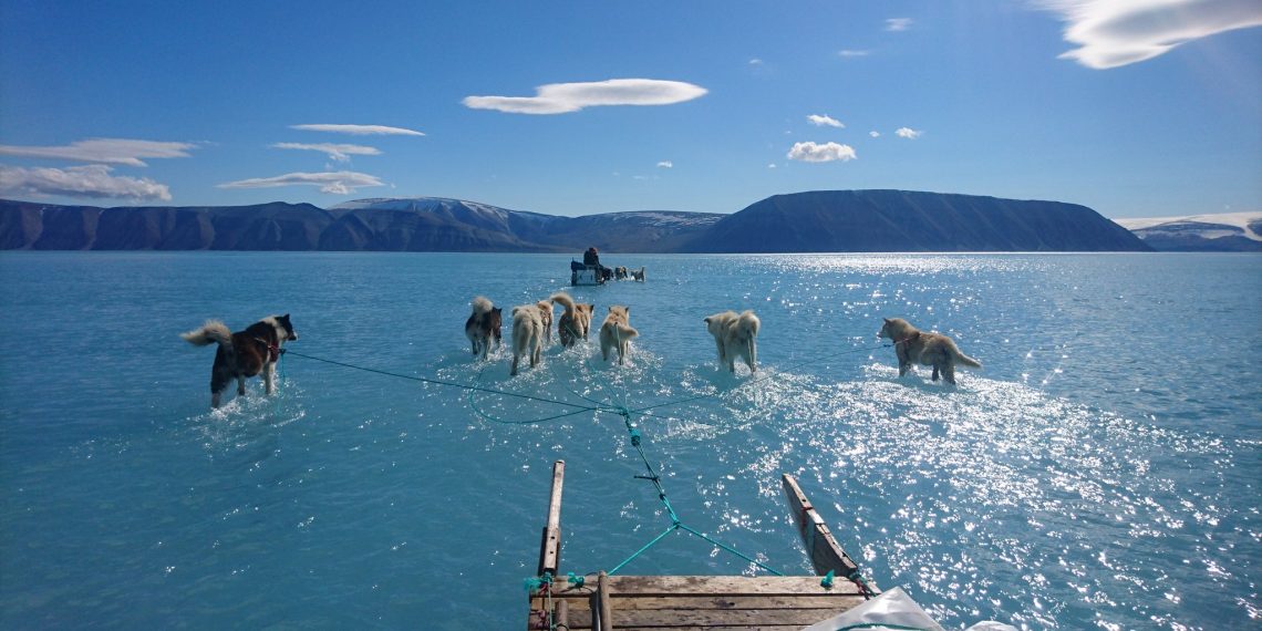 Klimakatastrophe: Die Ursachen, Folgen und was wir dagegen tun können