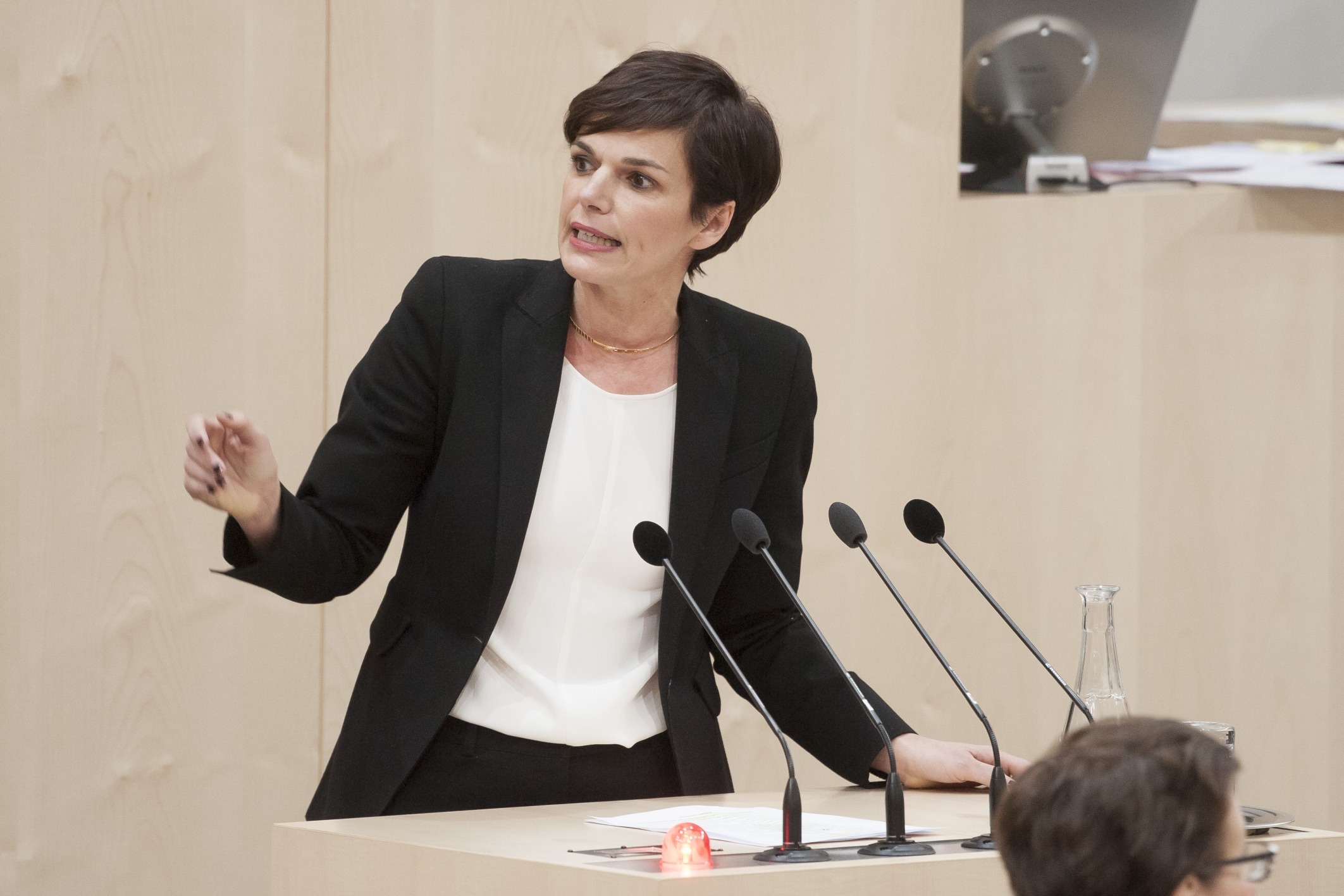 Parlament beschließt Verbot von Großspenden – ÖVP dagegen