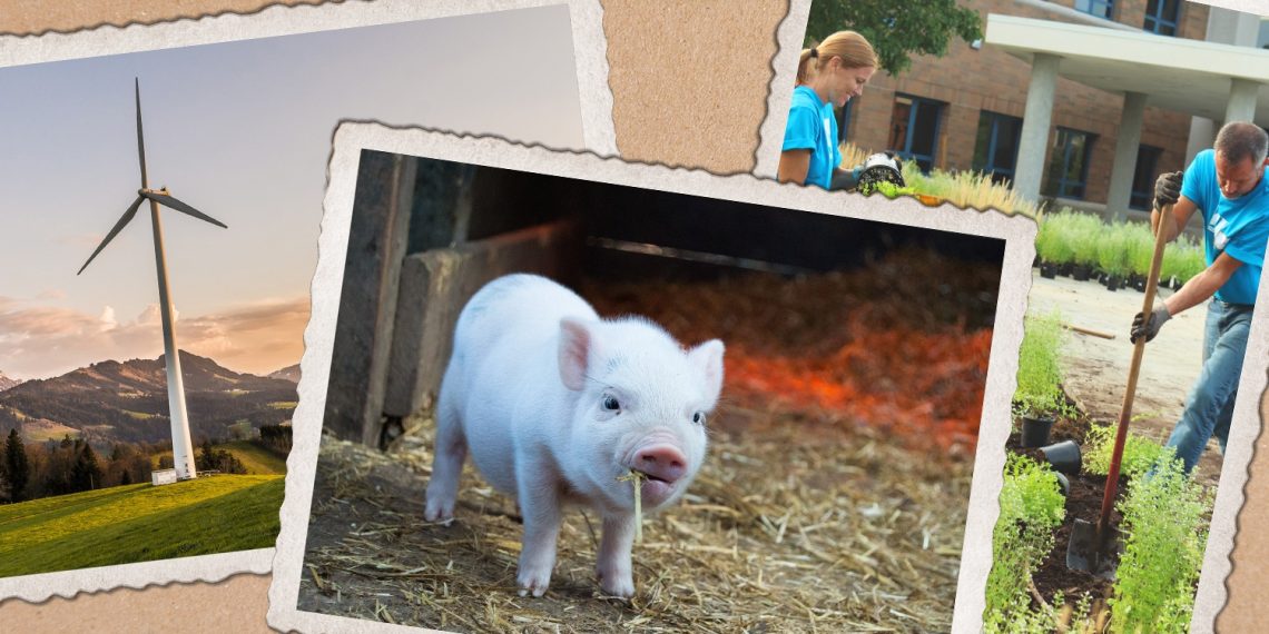 Neue Gesetze: Diese 7 Abstimmungen kommen auf uns zu