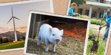 Neue Gesetze: Diese 7 Abstimmungen kommen auf uns zu