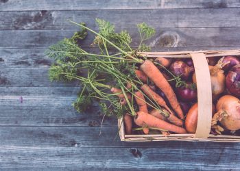 Schuld am Klimawandel sind Konzerne – nicht Ärmere, die nicht „Bio“ kaufen können