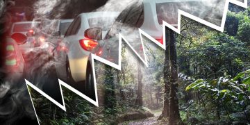 Mehr Autos, weniger Regenwald: die Folgen des Mercosur-Abkommens